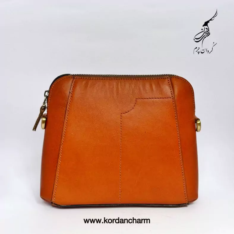 کیف دوشی مدل النا طرح ساده